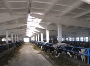 Побілка приміщень